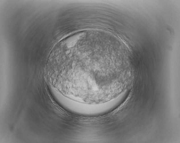 X0000115161505200912081357