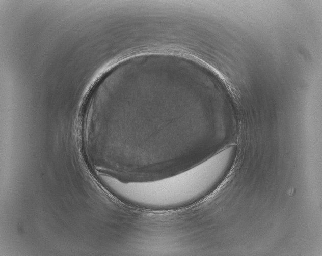 X0000115161506200912081357