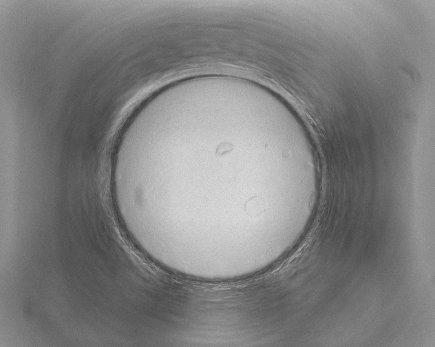 X0000115161507200912081357