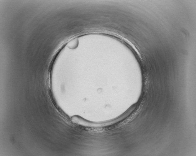 X0000115161509200912081357