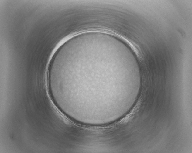 X0000115161514200912081357