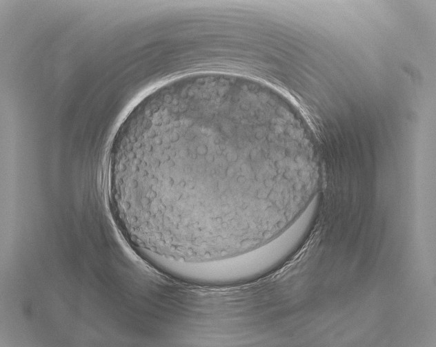 X0000115161515200912081357