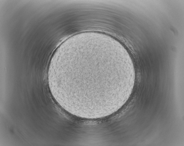 X0000115161521200912081357