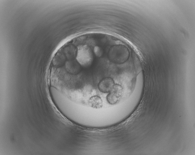 X0000115161522200912081357