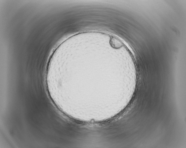 X0000115161525200912081357