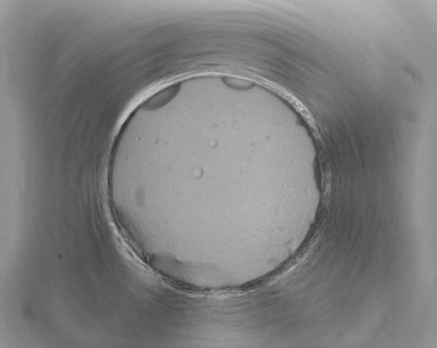 X0000115161530200912081357