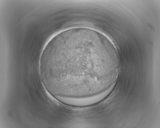 X0000115161535200912081357