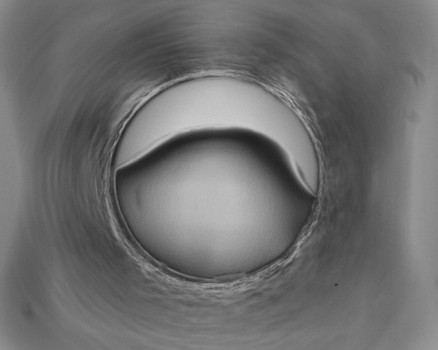 X0000115170001200911121749