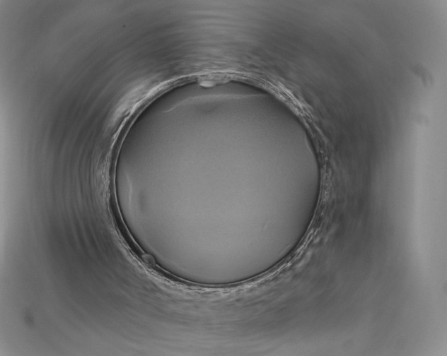 X0000115170002200911121749
