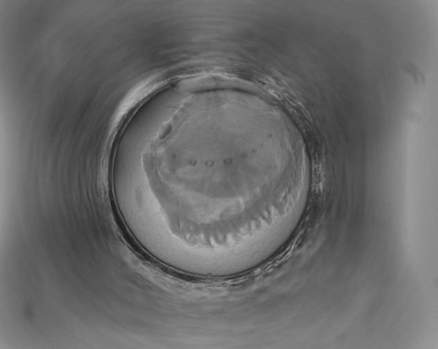 X0000115170004200911121749