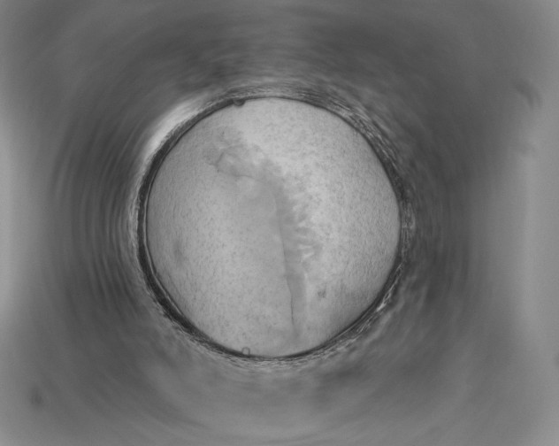 X0000115170006200911121749