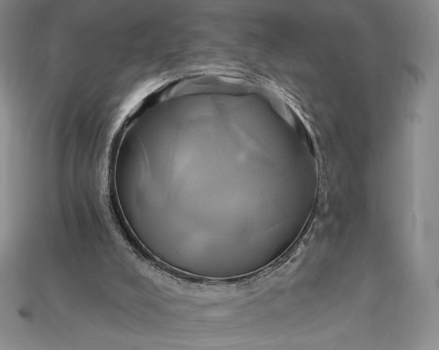 X0000115170008200911121749