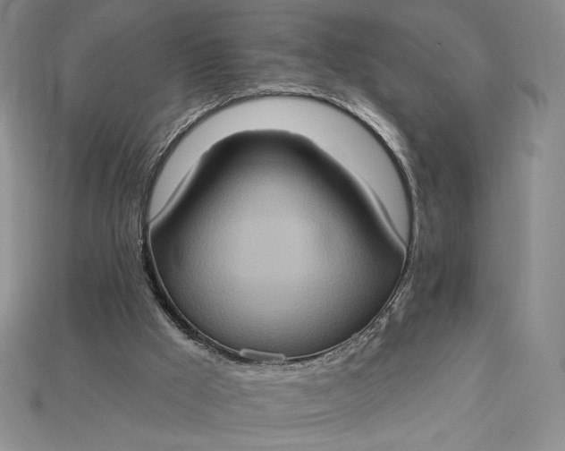 X0000115170009200911121749