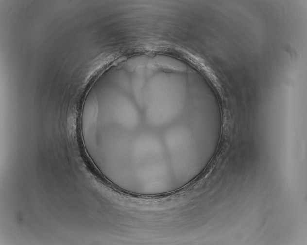 X0000115170010200911121749