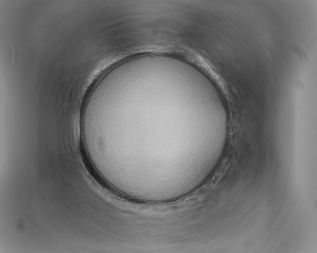 X0000115170011200911121749
