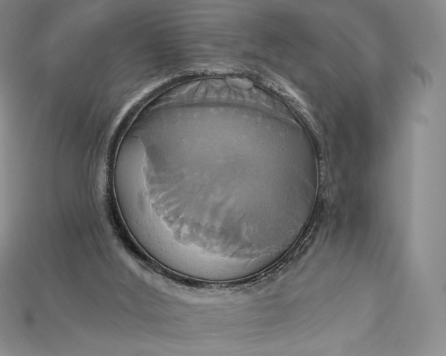 X0000115170012200911121749