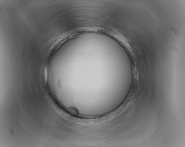 X0000115170013200911121749
