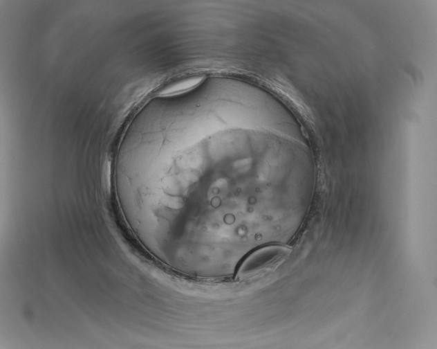 X0000115170014200911121749