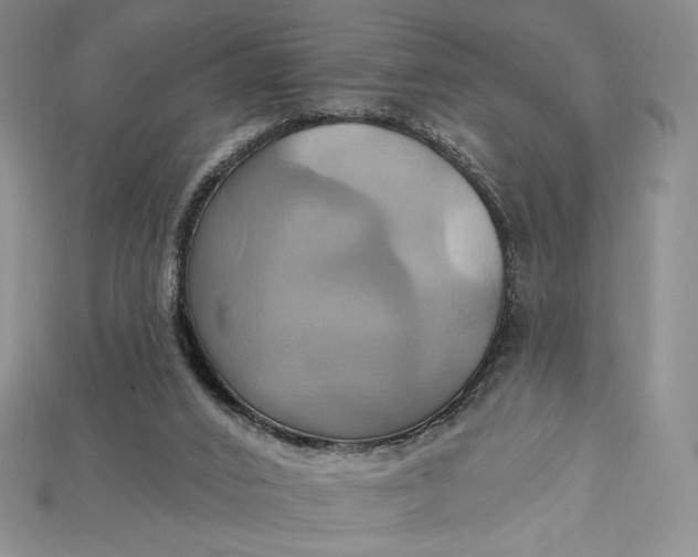 X0000115170016200911121749