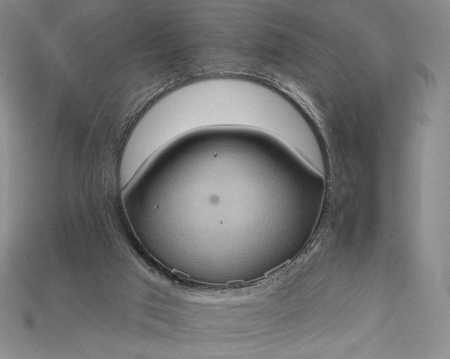 X0000115170017200911121749