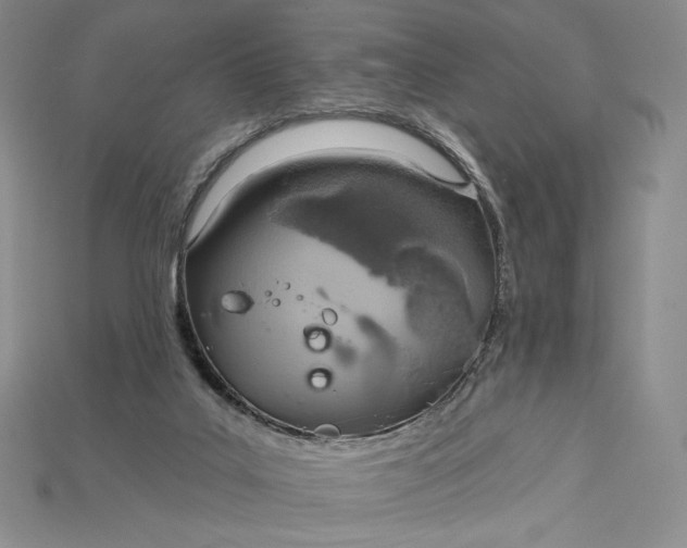 X0000115170019200911121749
