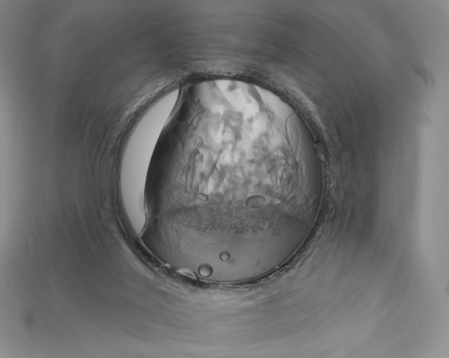 X0000115170020200911121749