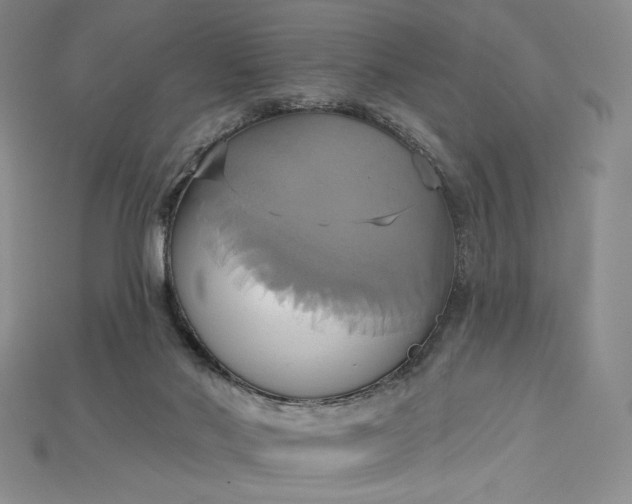 X0000115170022200911121749