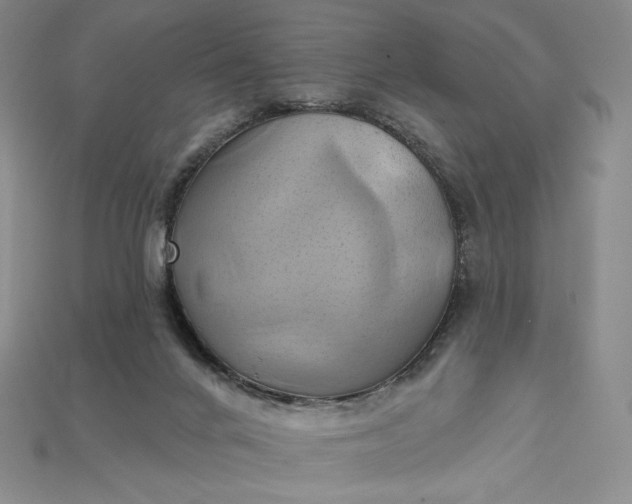 X0000115170024200911121749