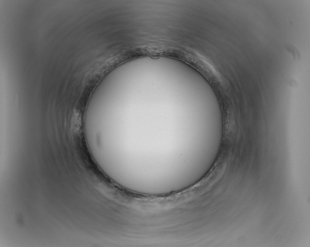 X0000115170025200911121749