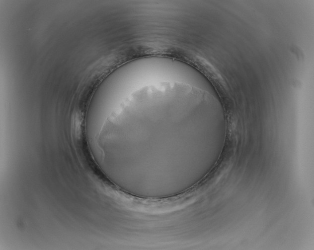 X0000115170026200911121749