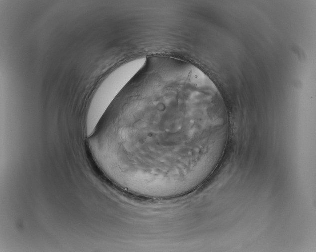 X0000115170028200911121749