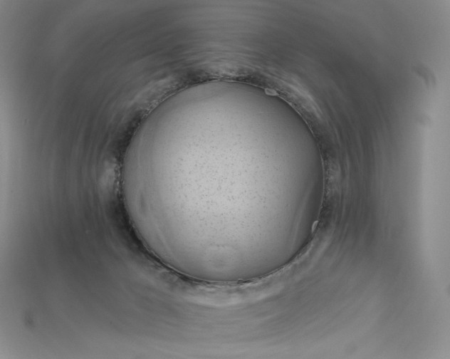 X0000115170029200911121749