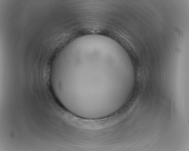 X0000115170030200911121749