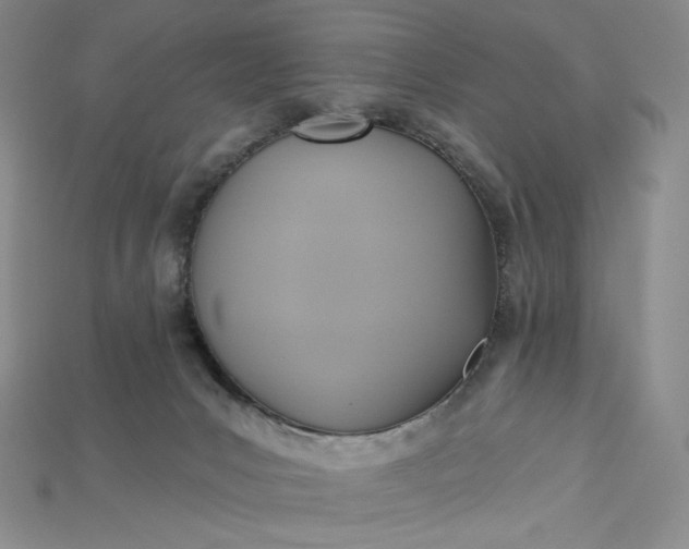 X0000115170031200911121749