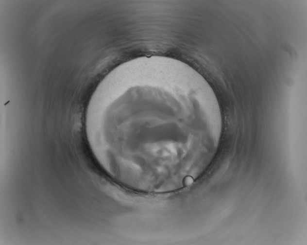 X0000115170032200911121749
