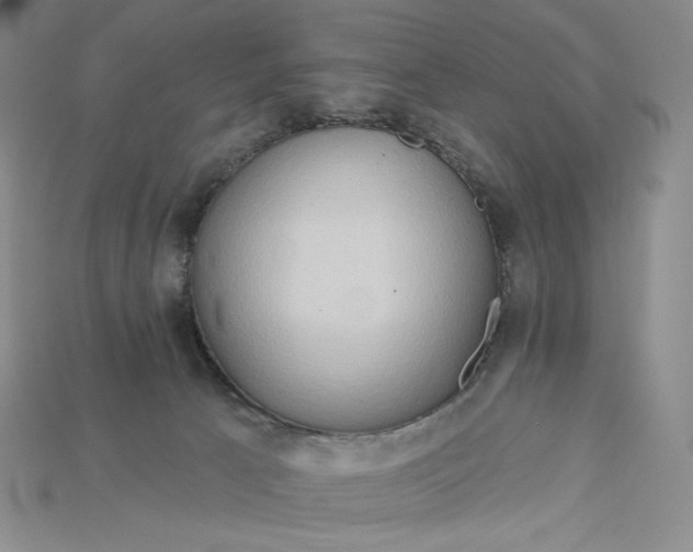 X0000115170033200911121749