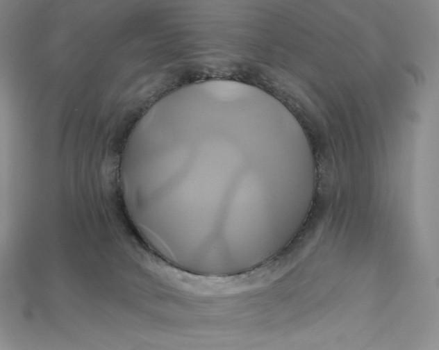 X0000115170034200911121749