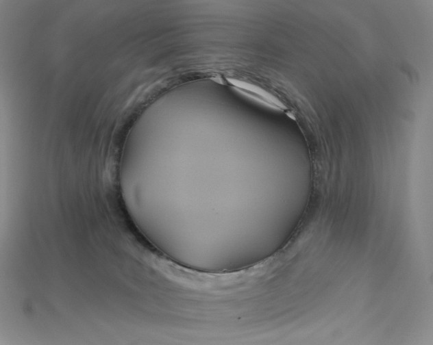 X0000115170035200911121749