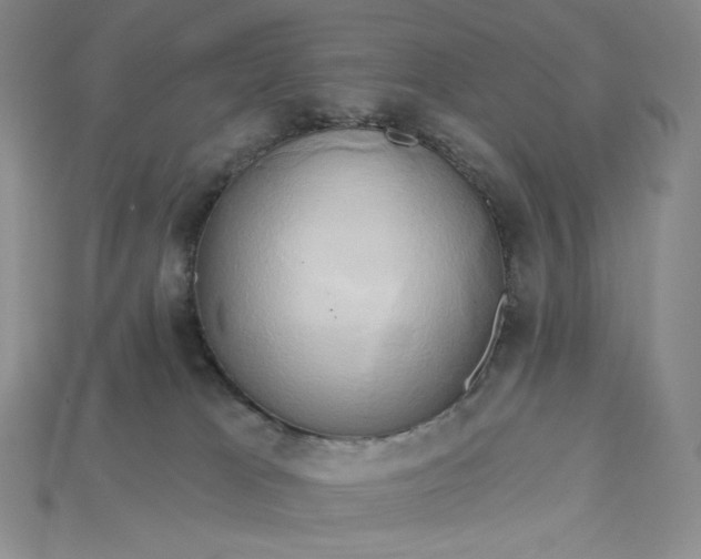 X0000115170037200911121749