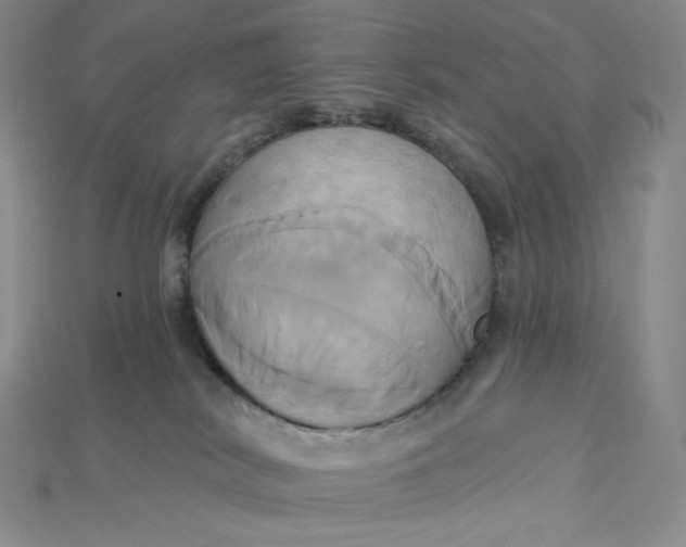 X0000115170038200911121749