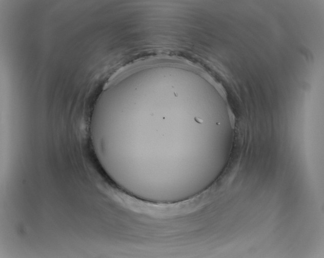 X0000115170039200911121749