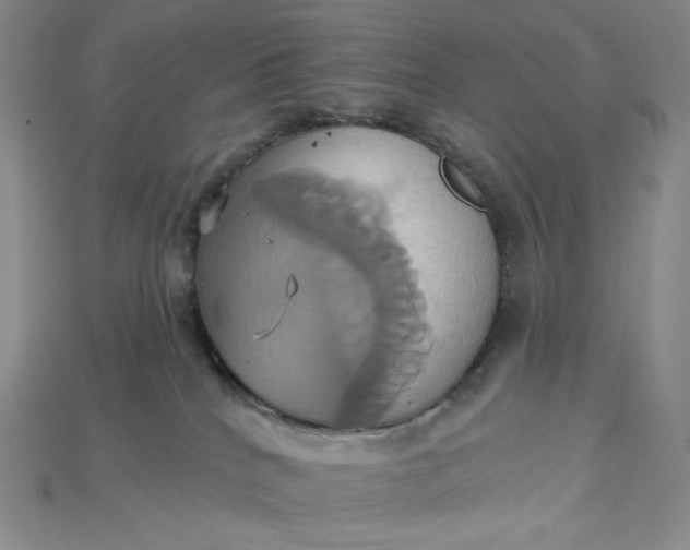 X0000115170040200911121749
