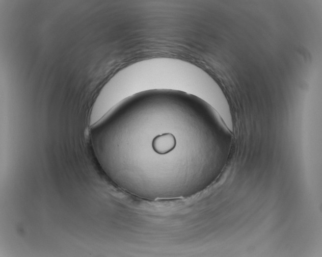 X0000115170041200911121749