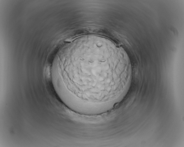 X0000115170042200911121749