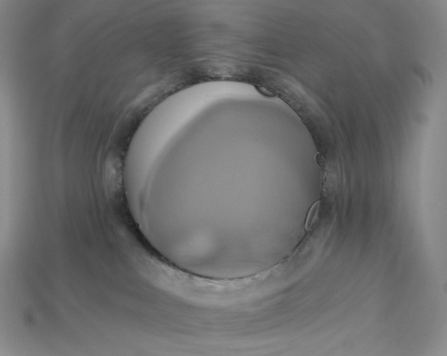 X0000115170043200911121749