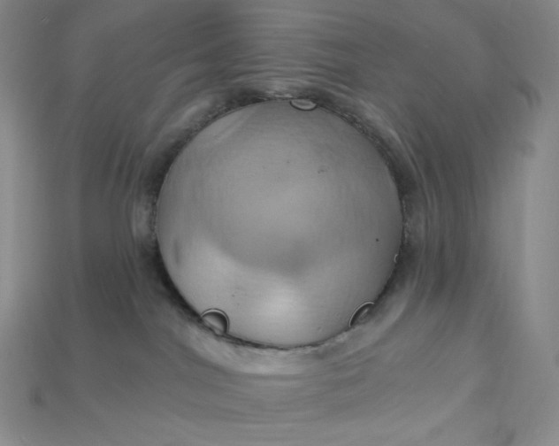 X0000115170044200911121749