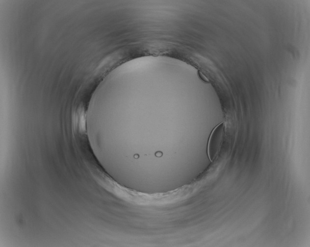 X0000115170046200911121749