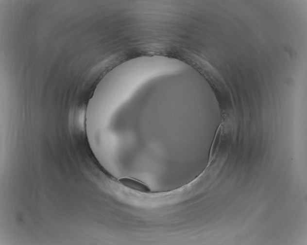 X0000115170047200911121749