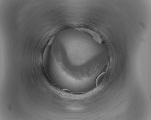 X0000115170048200911121749