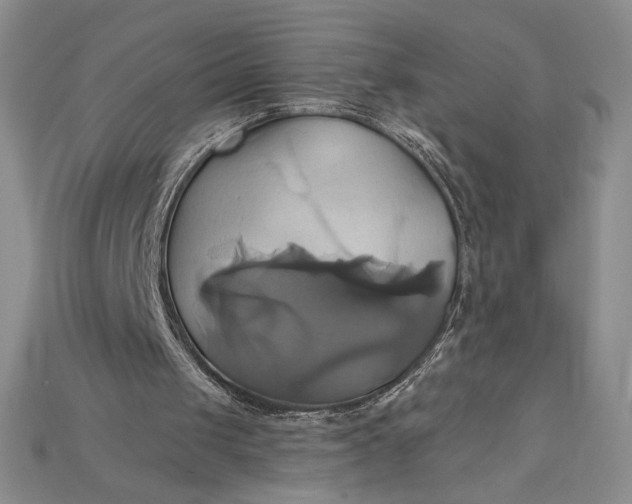 X0000115170049200911121748
